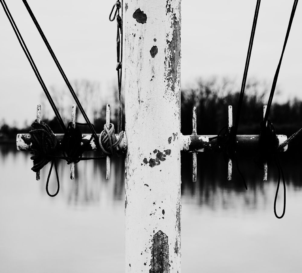 A black and white close-up of a weathered, peeling white metal pole with several ropes tied around it, set against a blurry background of water and trees.
