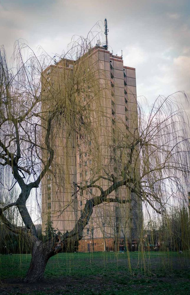 Dieses vertikale Bild zeigt ein massives, blockartiges Wohnhochhaus in Braun- und Beigetönen, das zentral in den Himmel ragt. Es wird fast vollständig von einem großen, knorrigen Baum im Vordergrund eingerahmt.

Der dunkle, geschwungene Stamm und die vielen dünnen, herabhängenden, fast kahlen Zweige der Trauerweide bilden einen natürlichen Kontrast zur strengen Architektur. Die Fassade des Hochhauses ist schlicht und weist viele kleine, rechteckige Fenster auf.

Vor dem Gebäude liegt eine Fläche mit kurzem, grünem Gras. Der Himmel ist stark bewölkt und hellgrau, was der gesamten urbanen Szene eine leicht düstere und dramatische Atmosphäre verleiht.