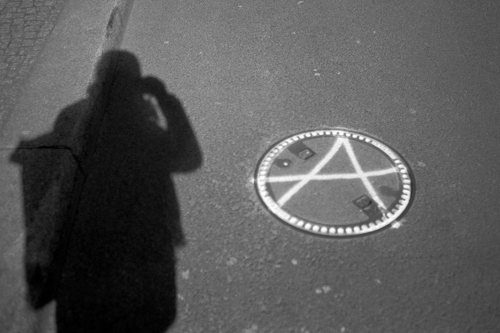 Dieses vertikale Schwarz-Weiß-Foto zeigt eine Szene in einem städtischen Hinterhof. Im Zentrum sitzt eine kleine, getigerte Katze auf einem dunklen Dachgesims oder einer Regenrinne. Die Katze blickt mit einem intensiven Ausdruck direkt in die Kamera.

Das dunkle Gesims teilt das Bild horizontal. Darüber erheben sich die hohen, hellen und glatten Fassaden eines Gebäudes. Links ist ein großes, weiß gerahmtes Fenster sichtbar. Rechts ist die Gebäudeecke dicht mit dunklem Efeu oder wildem Wein bewachsen. Das Foto ist von unten aufgenommen und betont die Höhe und die exponierte Position der Katze.