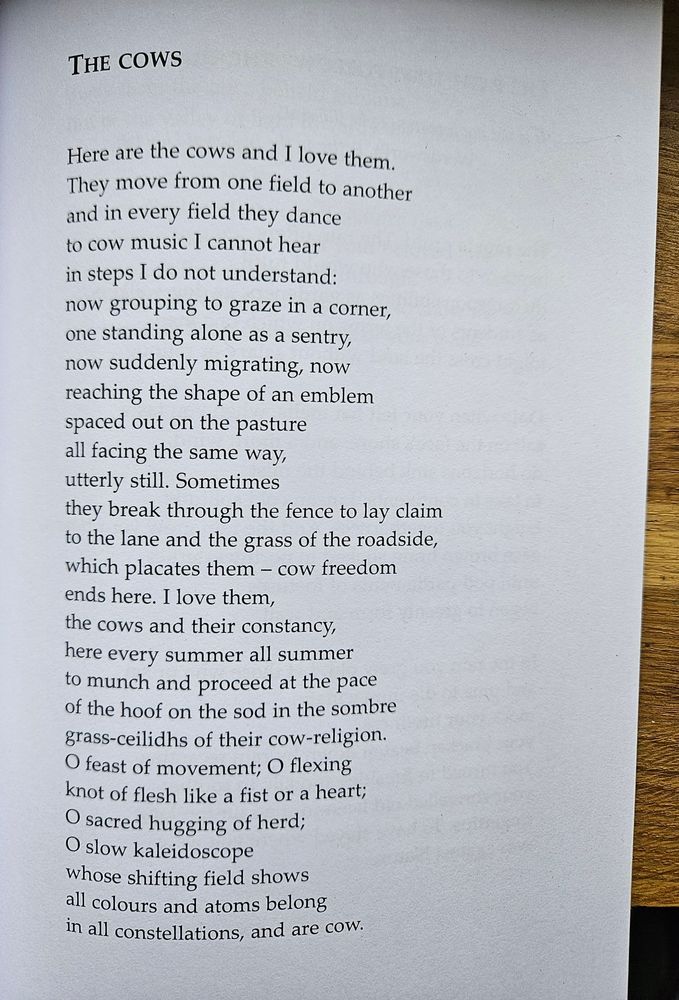 Poem entitled The Cows