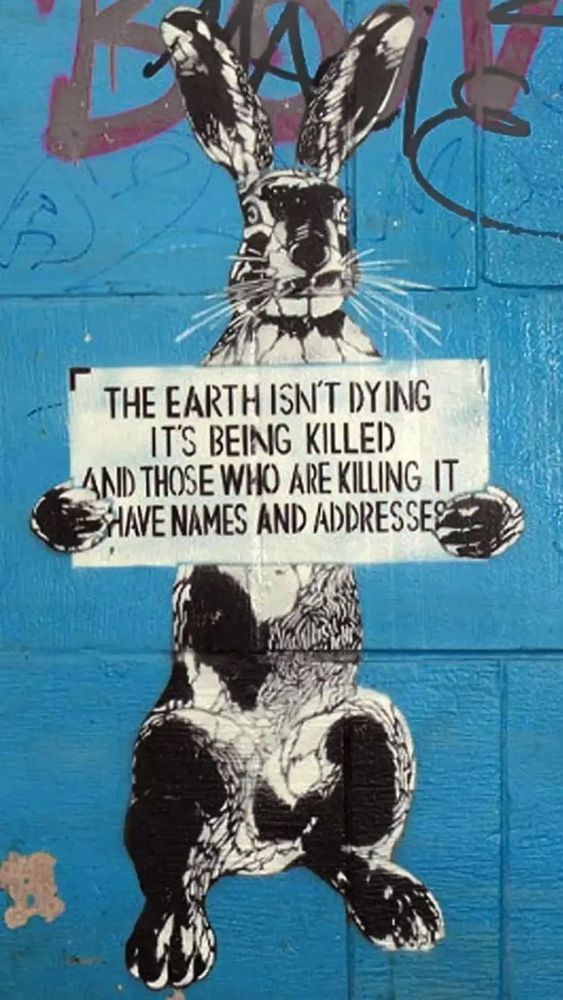 An illustration of a rabbit holding a sign that says the earth isn’t dying it’s being killed and those who are killing it have names and addresses.”