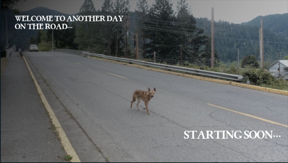 A photograph of a stray dog crossing the street. On the top left it reads "Welcome to another day on the road..." in all caps and on the opposite bottom right corner it reads "Starting Soon..." in all caps.