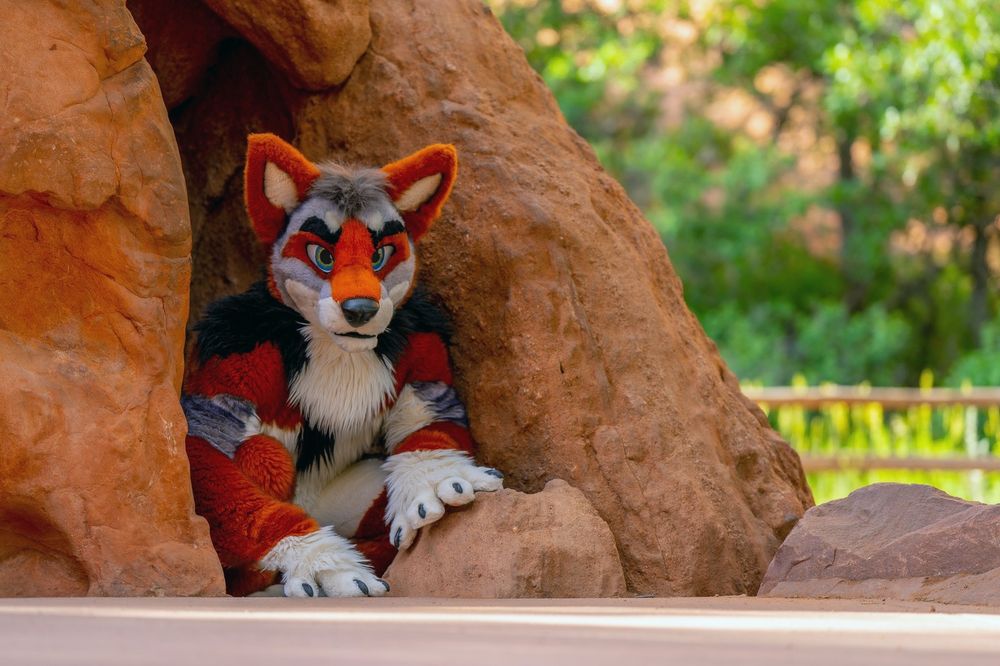 blue coyote crawling out of a little fucking hole