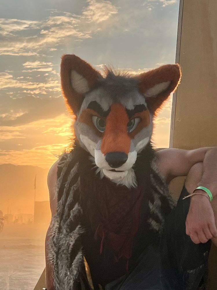 Me in partial fursuit in the nevada desert