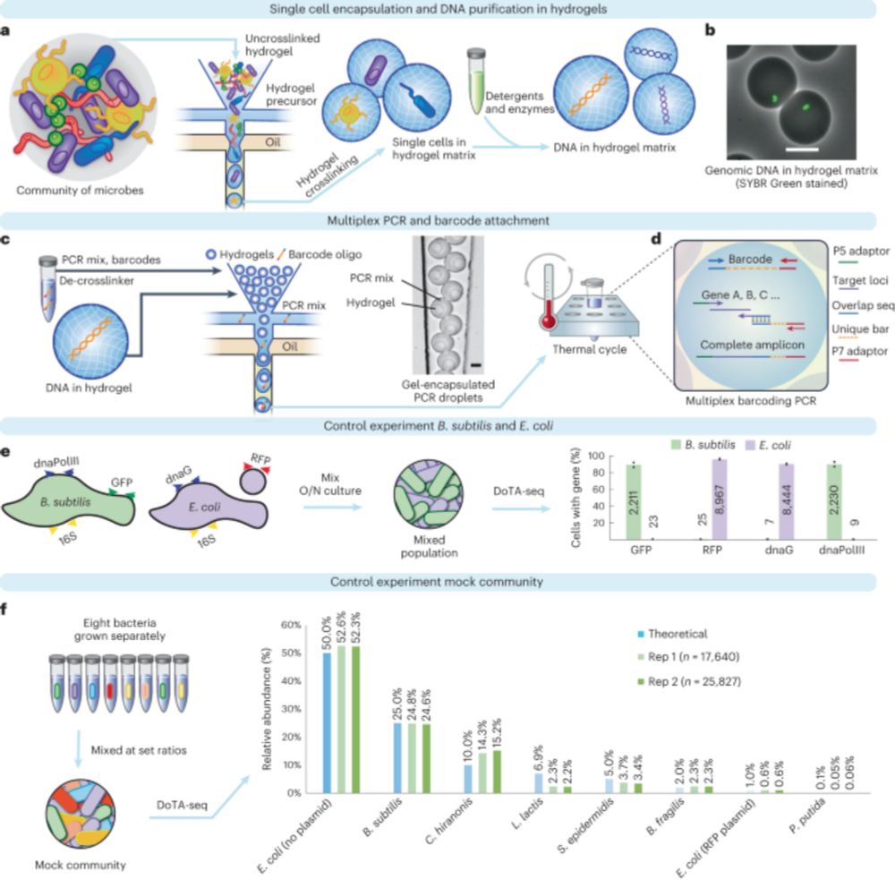 Massively parallel single-cell sequencing of diverse microbial populations - Nature Methods