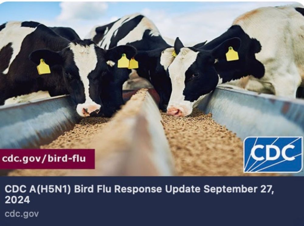 Bird Flu: Is Human-to-Human Spread Taking Flight?