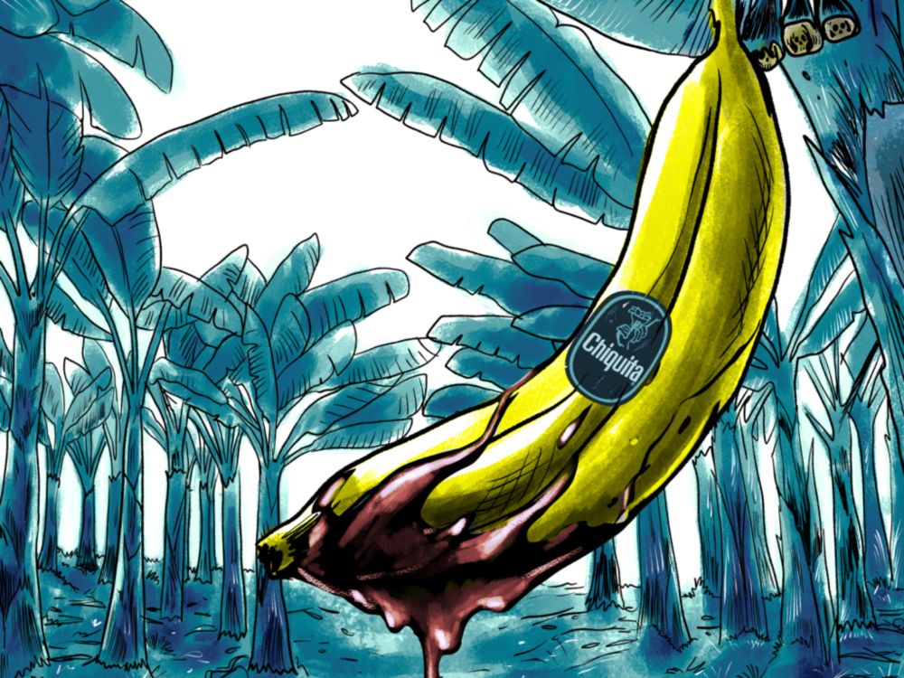 Colombian victims win historic verdict over Chiquita: Jury finds banana company liable for financing death squads. | EarthRights International