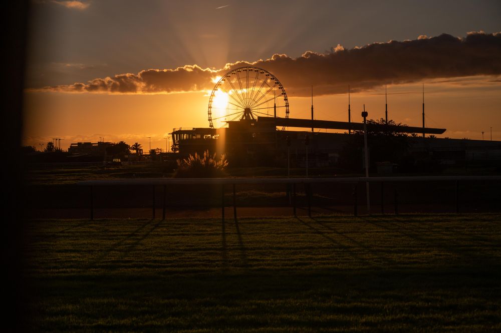 Grande roue de marseille - soleil couchant