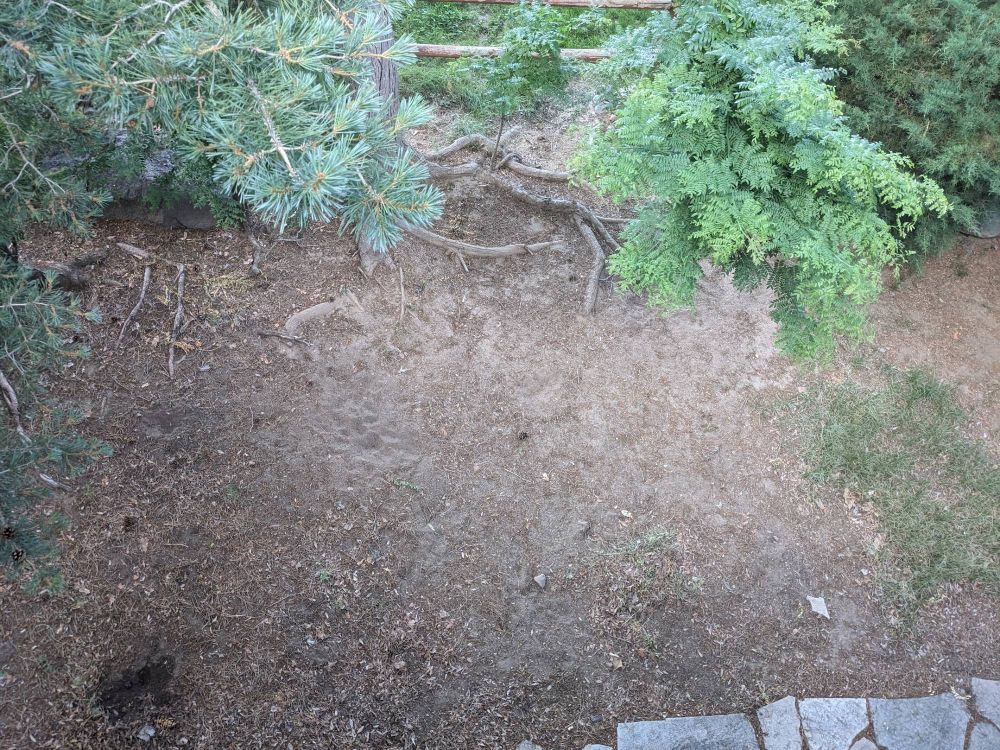 ground as barren as my soul