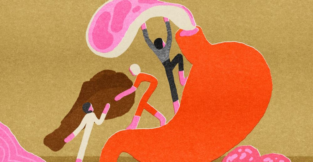 You’re being lied to about protein