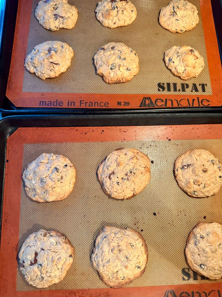 oatmeal cashew butter cookies with unsweetened toasted coconut shreds, toasted walnuts bits, dark chocolate chips, currants, and raisins