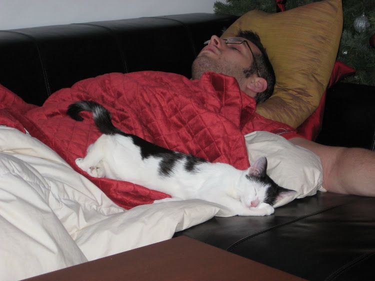 A man passed out on a couch, a small black-and-white (“cow”) kitten sleeps sprawled across him