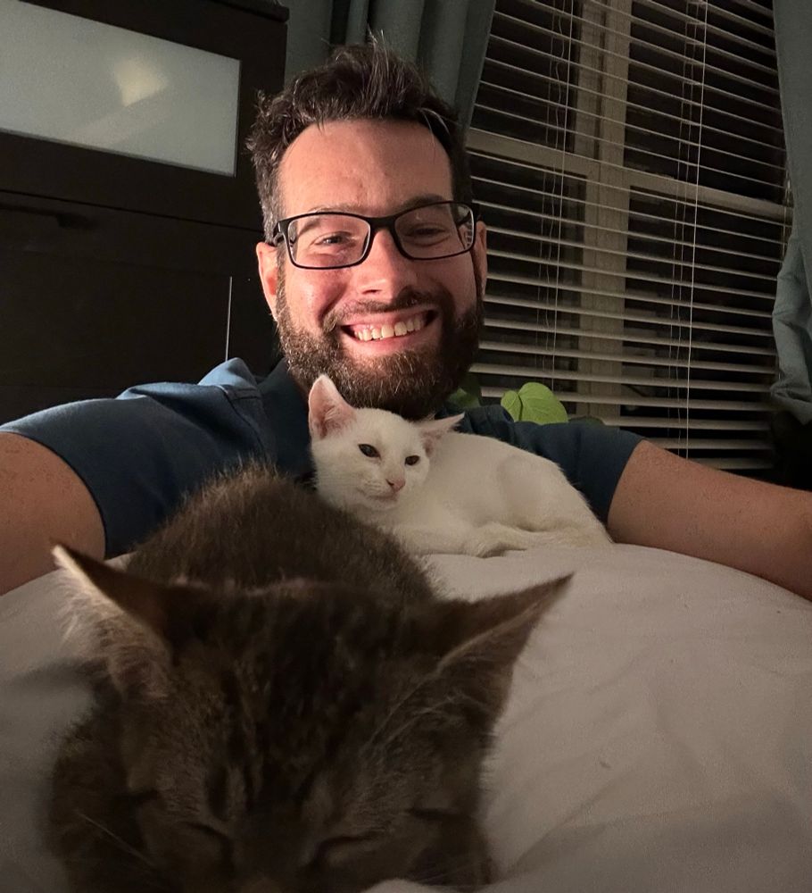 Man and kittens