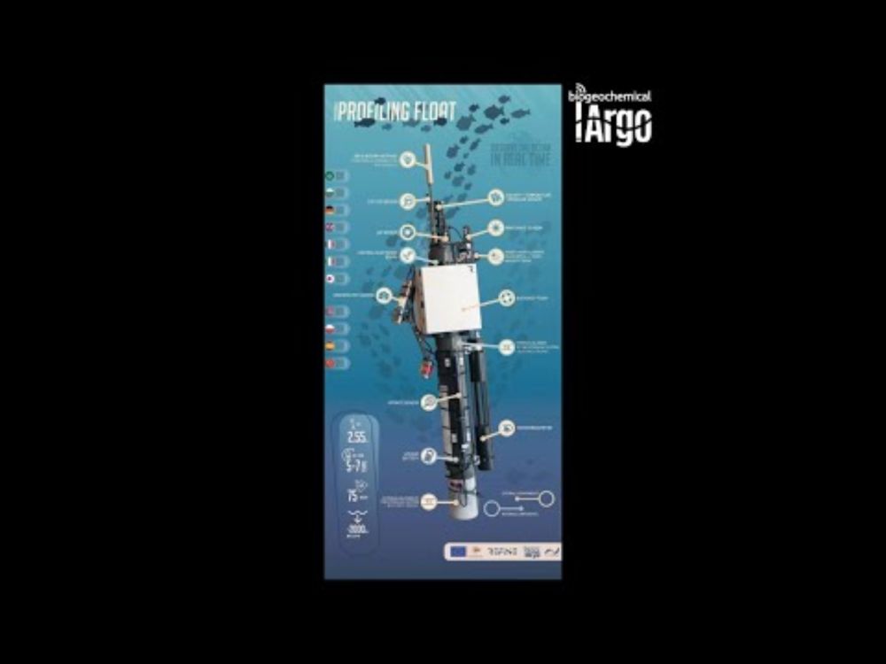 LISTENING TO THE OCEAN’S CLIMATE CLUES | Louise Delaigue | TEDxEDHECNice