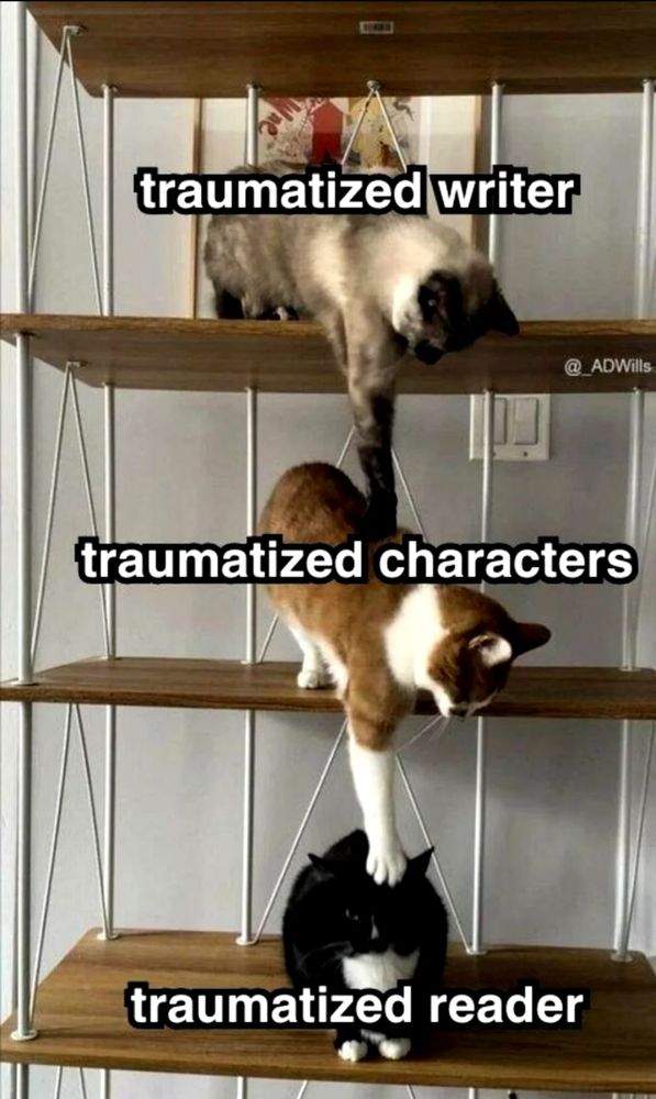 A meme with three cats implying that a writer passes their trauma onto their characters, who in turn pass it on to the reader