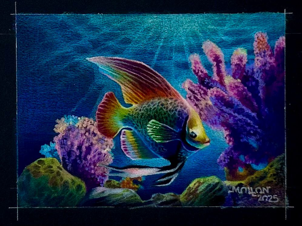 Tropical Prism Angel Fish amongst various Coral Animals.  The fish is Red, Orange, Yellow, Green, Blue with Black and Pink Accents.  The sun shines down through the water upon the Angel Fish and Coral Animals of Purple, Lavender, Pinks and Yellow.  The rocky Seabed Floor is in the foreground of various colors of Gray, Green, Violet and Burnt Umber.