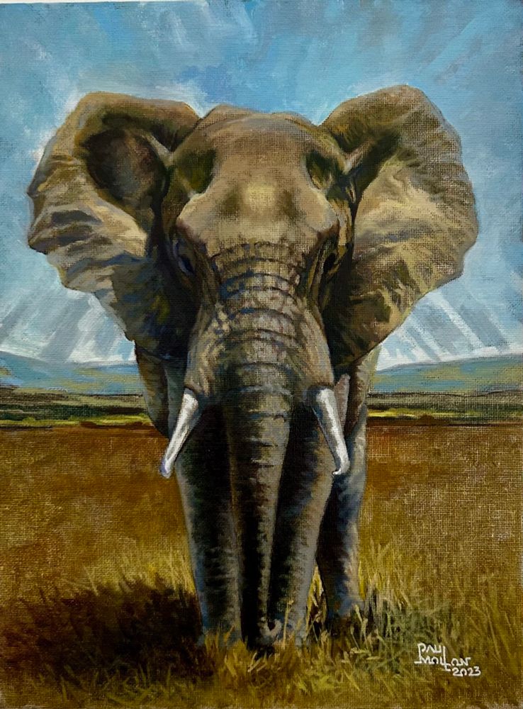 I purposefully put the African Elephant in the Frontal Picture Plane to emphasize how nothing we really are in Nature 😳 