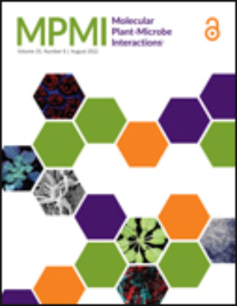 miR472 deficiency enhances Arabidopsis thaliana defense without reducing seed production | Molecular Plant-Microbe Interactions®