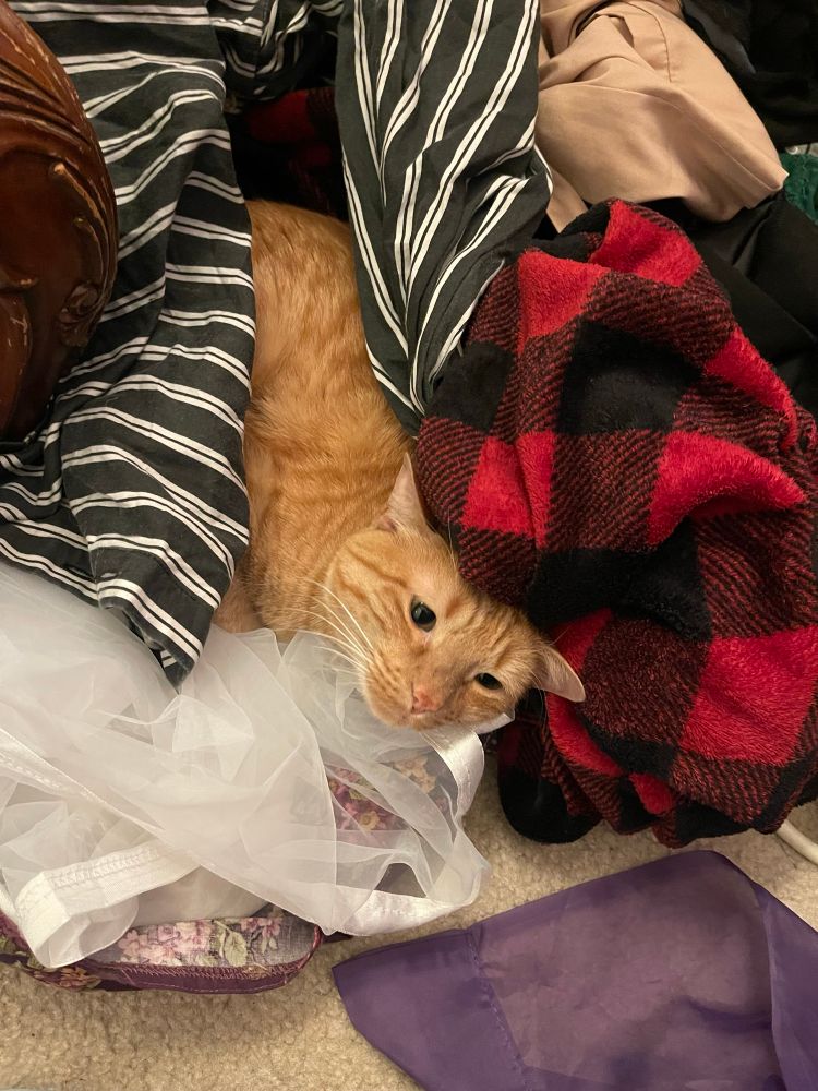 Burt in a pile of clothing and petticoats
