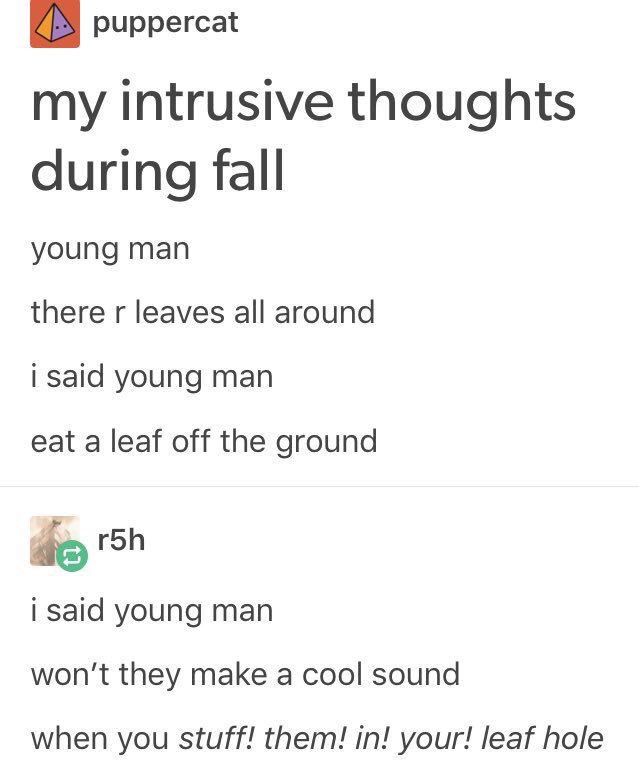 A tumblr post by puppercat:
my intrusive thoughts during fall
young man
there r leaves all around
i said young man
eat a leaf off the ground

with a comment by r5h
i said young man
won't they make a cool sound
when you stuff! them! in! your! leaf hole