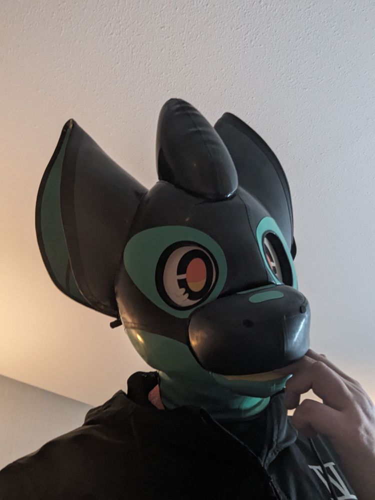 A Kariwanz hood belonging to Oracle being worn by me