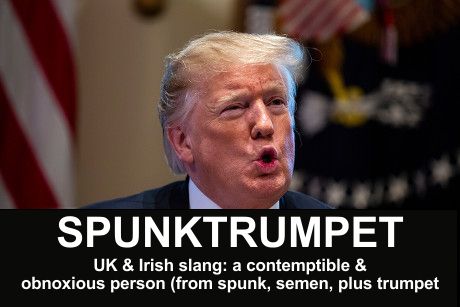 Photo of Donald Trump pursing his lips, at the bottom of the photo it says Spunktrumpet: UK & Irish slang, a contemptible and obnoxious person (from spunk, semen, plus trumpet)
