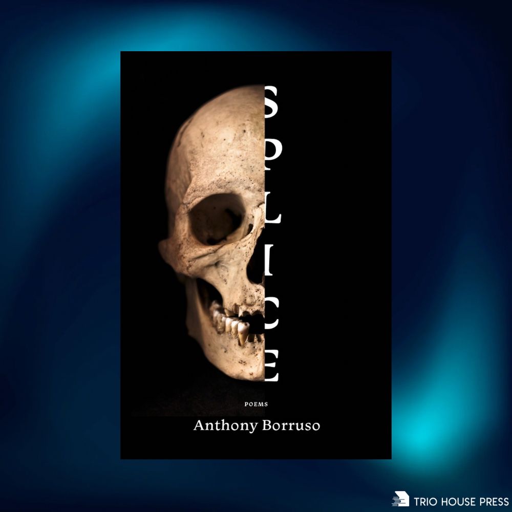 Cover featuring skull and book title 