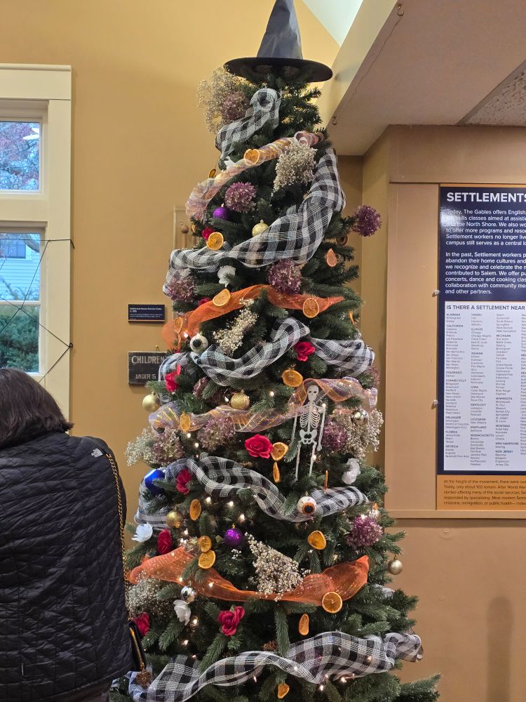 A Christmas tree with a witch hat on top 