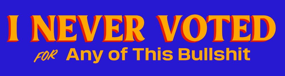 Mamdani campaign thing, reads: I Never Voted for Any of This Bullshit