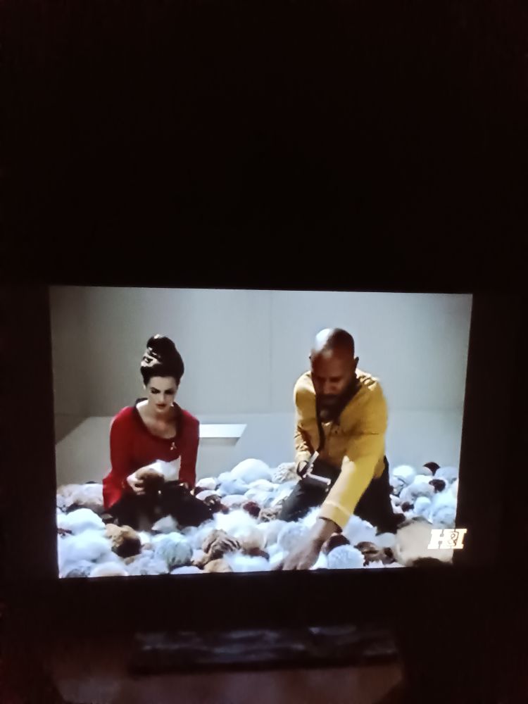 Screen shot of a Star Trek DS9 episode showing Captain Sisko and Dax in a pile of Tribbles.
