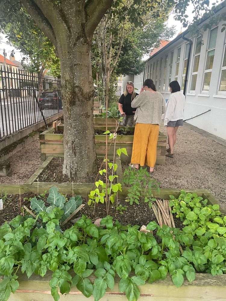 Three women looking at vegetables growing in raised beds. 