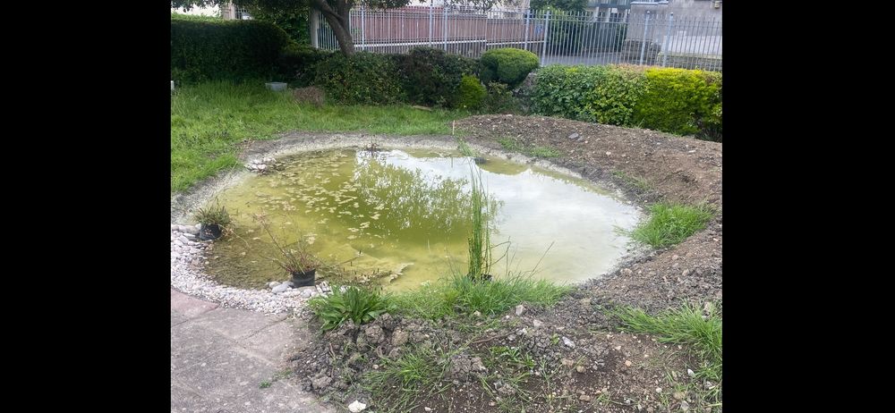 Pond after we first filled it. Surrounded by bare earth. 