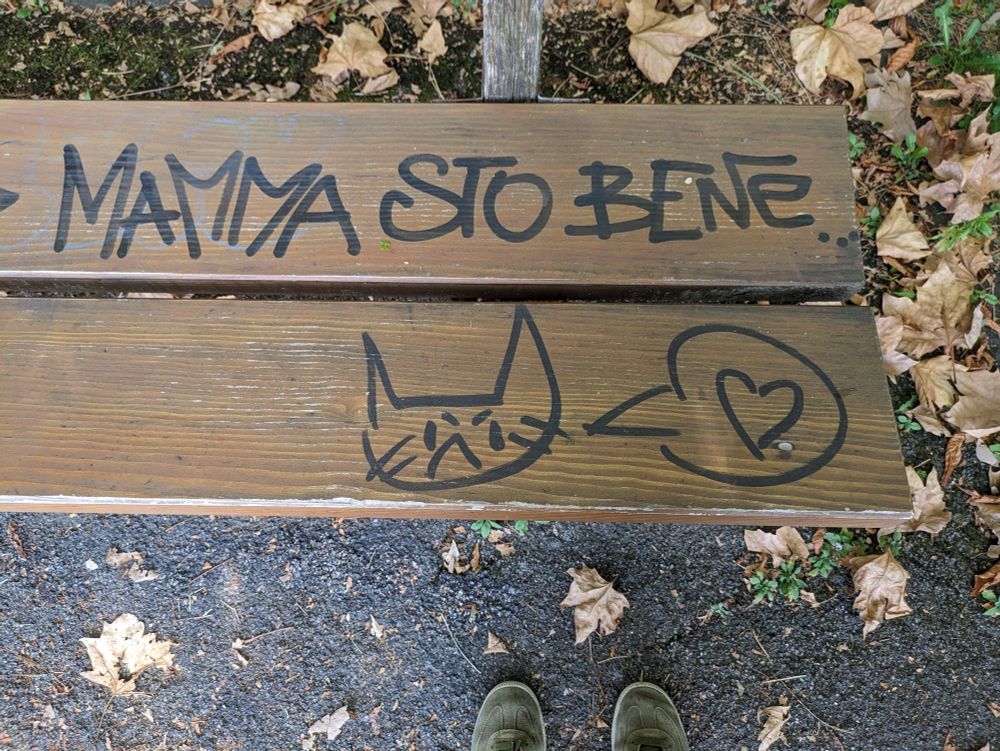 Auf einer Sitzbank ist mit schwarzem Edding der Kopf einer Katze mit nach unten gezogenen Mundwinkeln gemalt, daneben eine Sprechblase mit einem Herz. Darüber steht »Mamma sto bene...« (italienisch: Mama, mir geht's gut...)