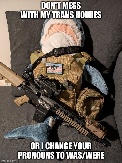 Un blahaj en équipement militaire avec un fusil d'assaut. Un patch au couleur est accroché au gilet.

Le texte du même est : Dont mess with my trans homies, or I change your pronouns to was/were