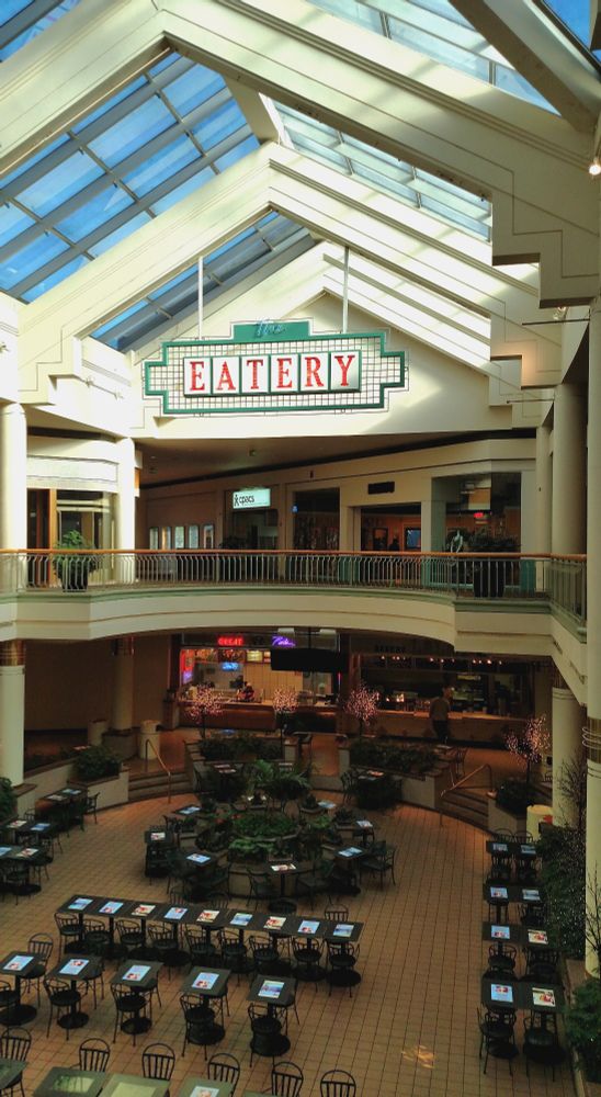 A mall food court seen from the second floor walkway. Planters line the atrium below, and natural light shines through the vast skylights. A sign hangs from the ceiling, advertising the food court below.
 