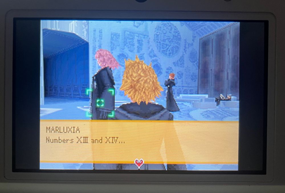A picture of Kingdom Hearts 358/2 Days 
Marluxia: Numbers XIII and XIV…