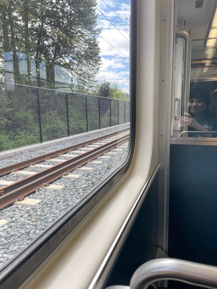 a photo taken from inside a train car on the Seattle 2-Line. trees and rails can be seen out the window