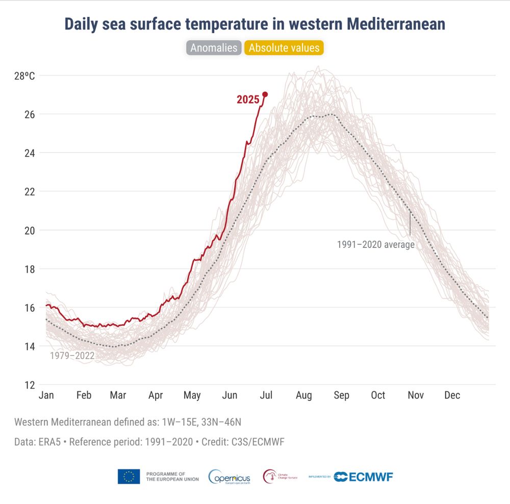 Daily sea surface temperature anomalies (°C) averaged over the western Mediterranean basin from 1979 to 30 June 2025. The year 2025 is highlighted in dark red and 2023 in light red. All other years are shown in grey. The western Mediterranean domain (1°W–15°E, 33–46°N) used to compute the time series is shown in the map above. Data source: ERA5. Credit: C3S/ECMWF.