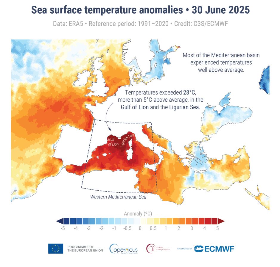 Daily sea surface temperature anomaly (°C) on 30 June 2025 relative to the average for the 1991–2020 reference period highlighting a marine heatwave in the western Mediterranean Sea. The dashed box shows the domain used to compute the time series shown in the figure below. Data source: ERA5. Credit: C3S/ECMWF.