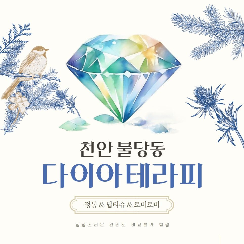 천안스웨디시 다이아테라피