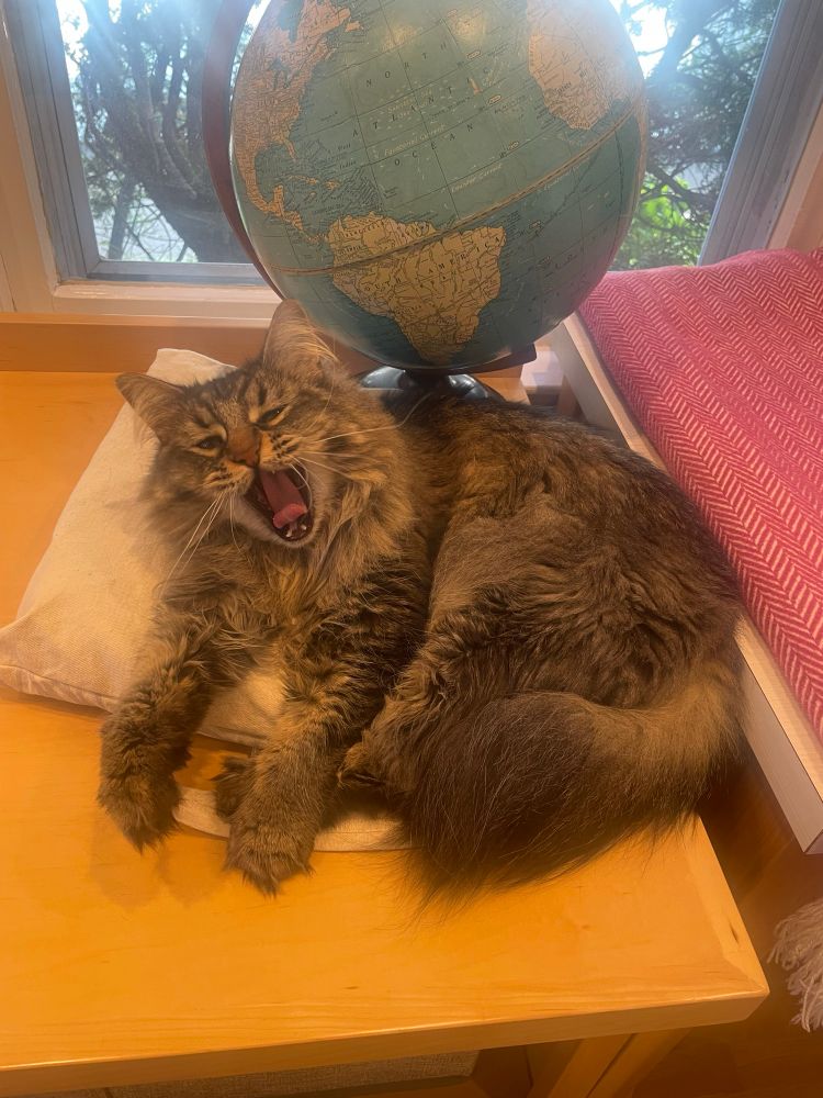 Carmela (cat) yawning near a globe 