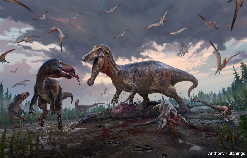 Artist's reconstruction of the fauna of the Hastings Group, Lower Cretaceous Wealden Supergroup of southern England. A darkly clouded sky is filled with flying pterosaurs and in the foreground large and small predatory theropods feed and splash across a muddy landscape with coniferous trees in the background, feeding from a felled theropod. Illustration by Anthony Hutchings.