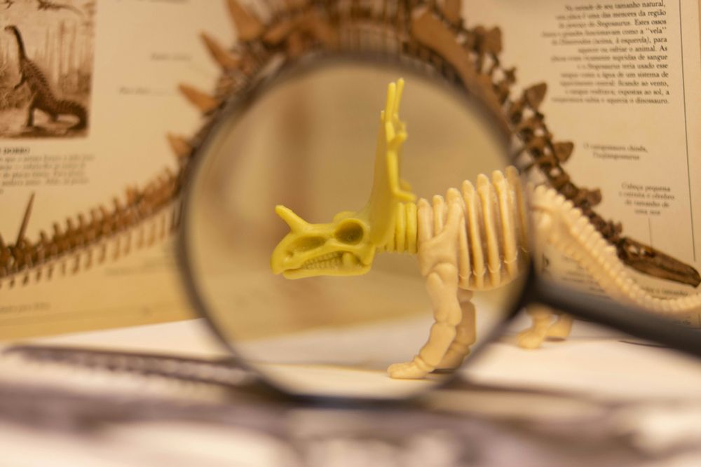 A photo by Lucas George Wendt (Unsplash) shows a plastic triceratops skeleton model seen through a magnifying lens. A book about dinosaurs in the background.