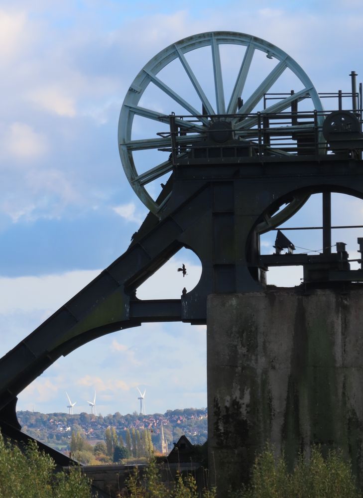 Disused colliery in foreground and wind farm in background; the birds were fortuitous. Pleasley Colliery, 30 Oct 2021