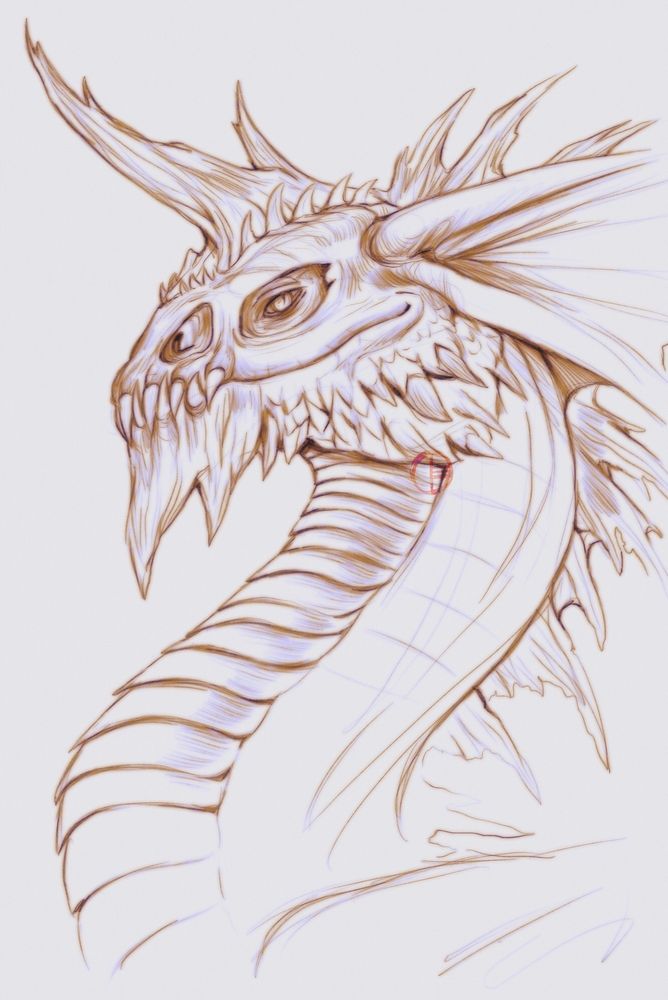 A sketch of a dragon from the TTRPG Dungeons and Dragons, as depicted in an early version of the game. Only the face and throat has been rendered. It has very sharp teeth protruding through a lipless mouth as it focuses on the viewer, its face a 3/4 angle. A huge fin emerges from the side of its head like an ear. Its pupil is narrowed like a cat’s, the expression almost resembling a smile.