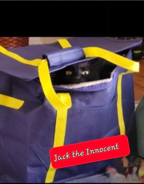 Comment image
