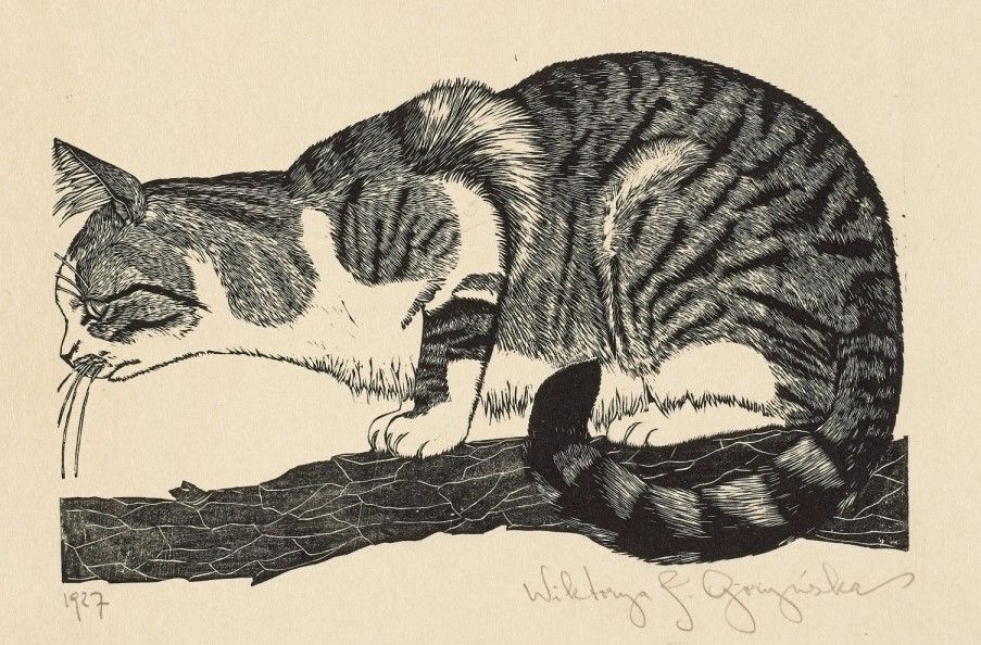 wood engraving of a cat crouched on the branch of a tree, seen in profile