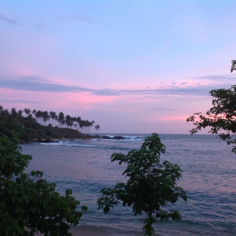 A pink sky over the sea framed by trees