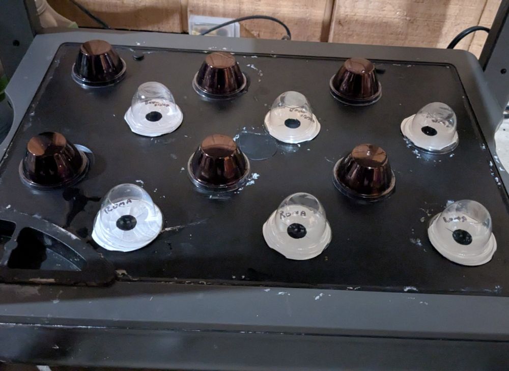 Aerogarden bed with brand new seed pods loaded