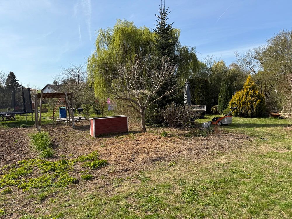 Bilder vom Garten,weiß-rotes Hochbeet,fängt langsam an grün zu werden.Stihl Rasenmäher 